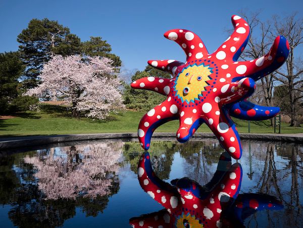 Japanese Artist Yayoi Kusama Gives Nature a 'Twist' in NY Garden Show