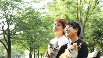 Anti-LGBTQ+ Party’s Gains in Japan’s Parliament Spark Fears for Marriage Equality