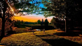 “Wait, Erie Too?!” How a Rust Belt Lake Town Became an Unexpected LGBTQ+ Haven